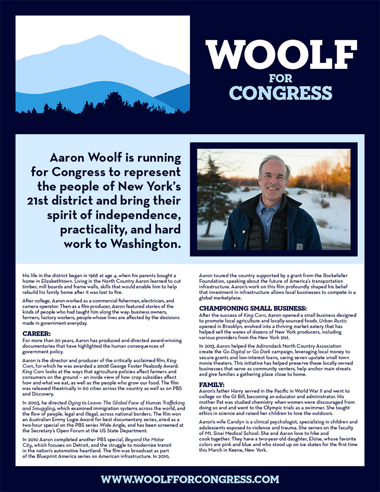 Aaron_Woolf_Congress_One_Sheet