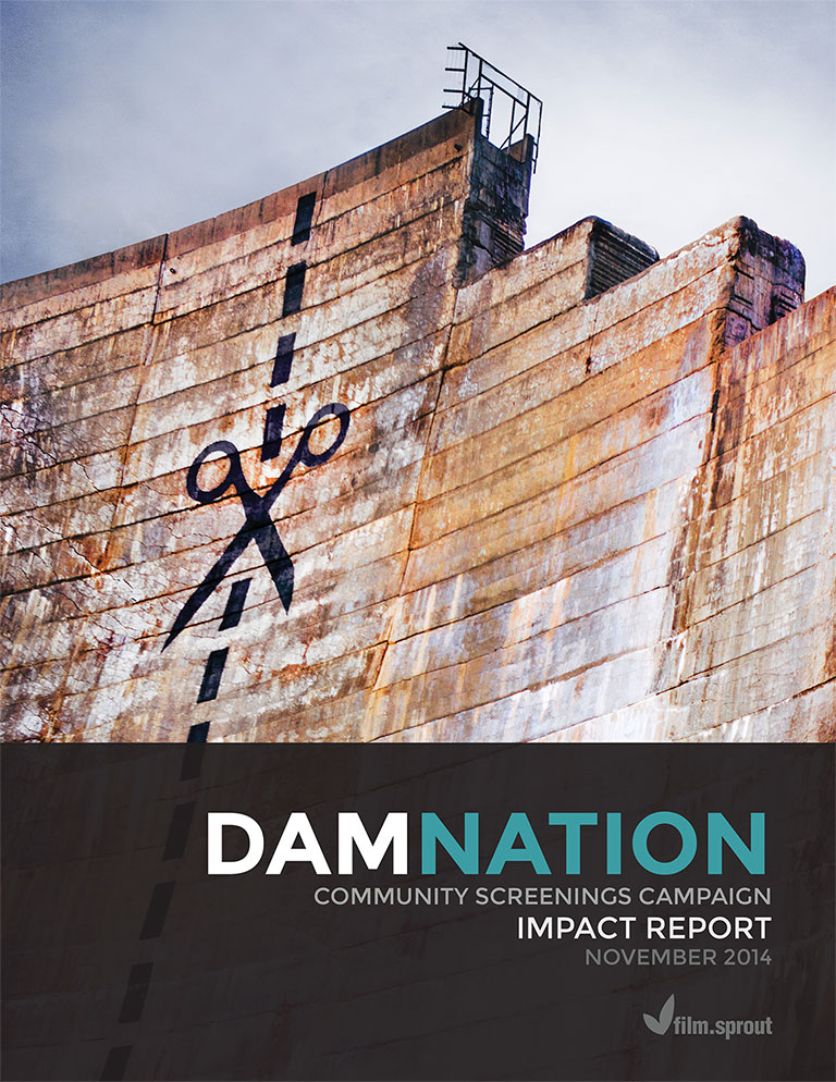 DamNation_Final_Report_1