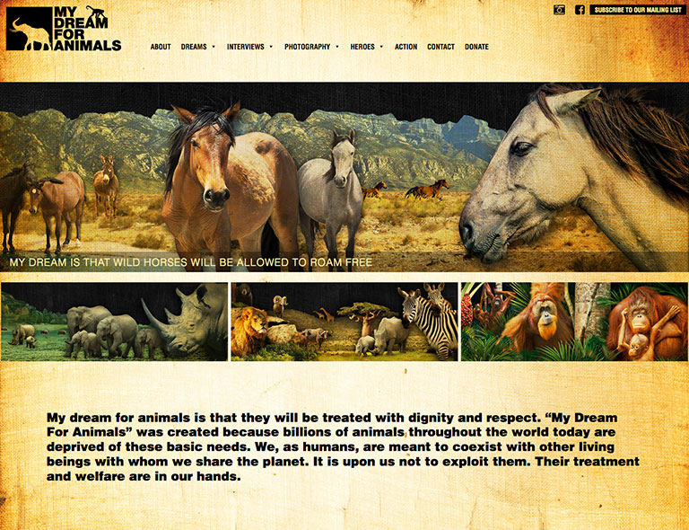 My_Dream_for_Animals